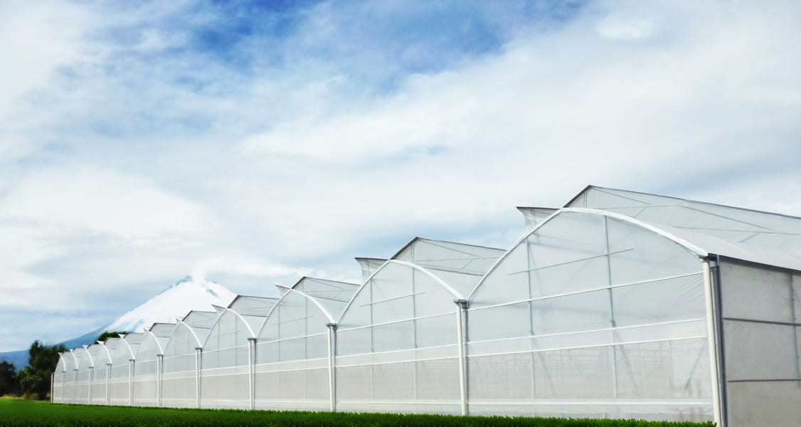 HIGHTECH GREENHOUSE