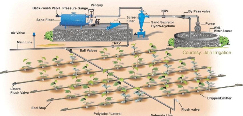 Drip Irrigation In Nepal