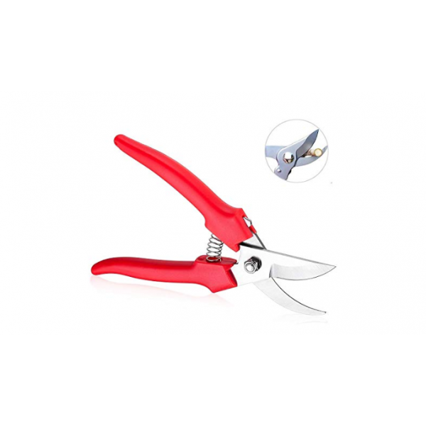 Pruning Scissors(Big)