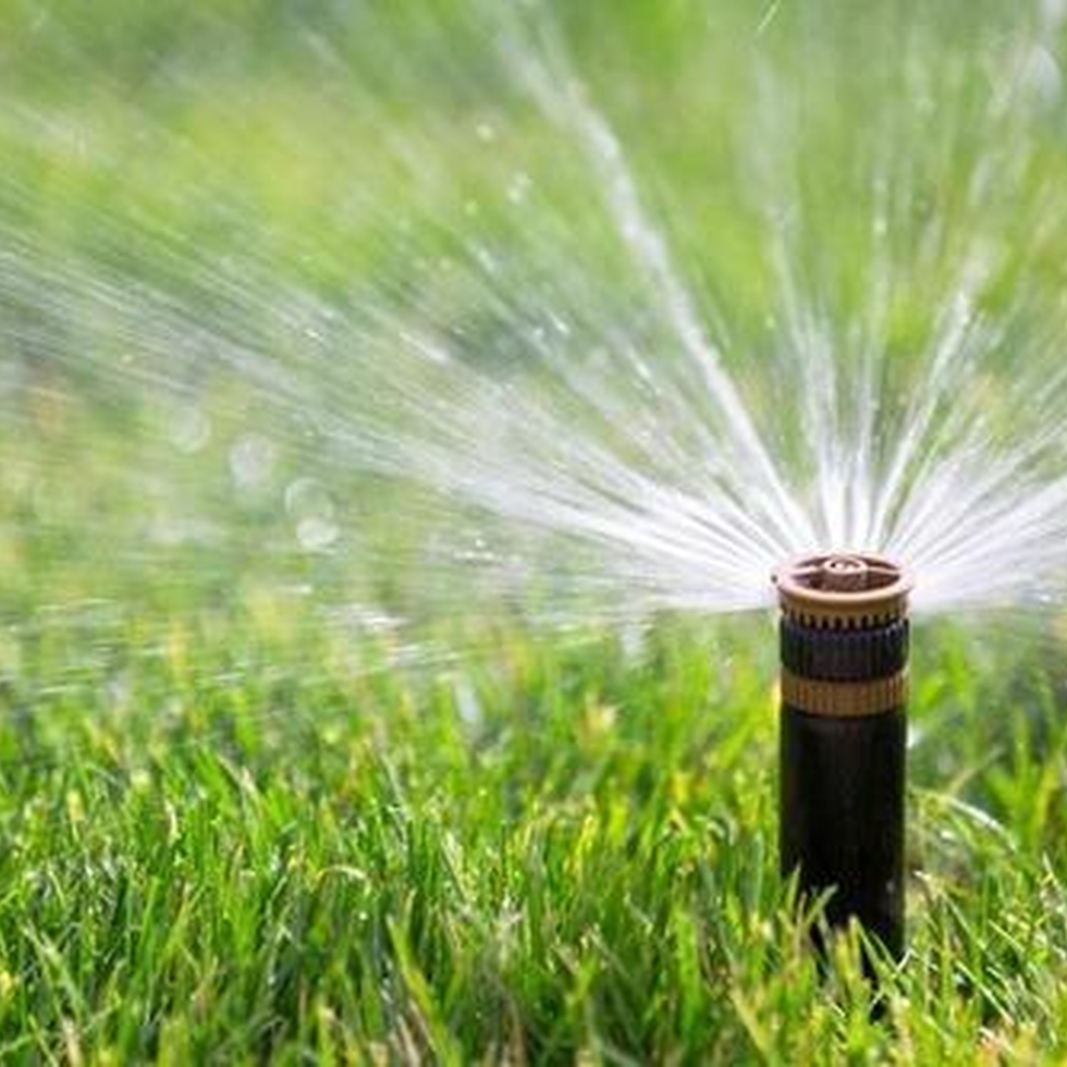 Popup Sprinklers